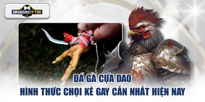 đá gà cựa dao