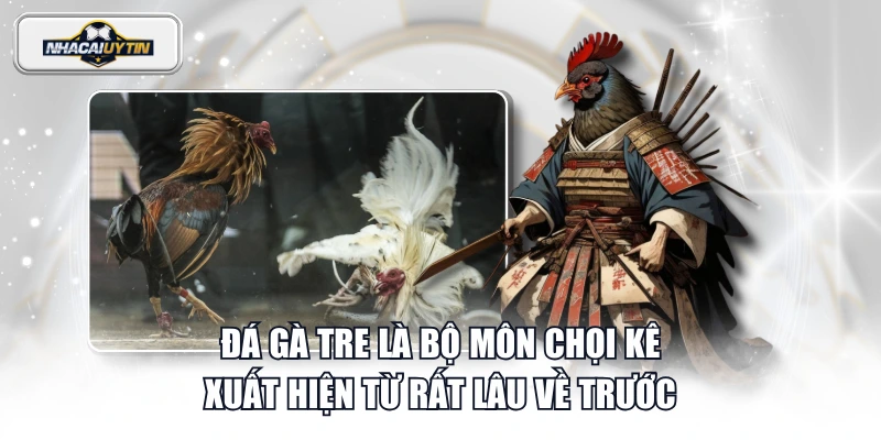 Đá gà tre là bộ môn chọi kê xuất hiện từ rất lâu về trước