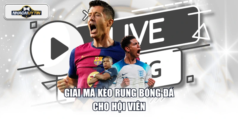 Giải mã kèo rung bóng đá cho hội viên