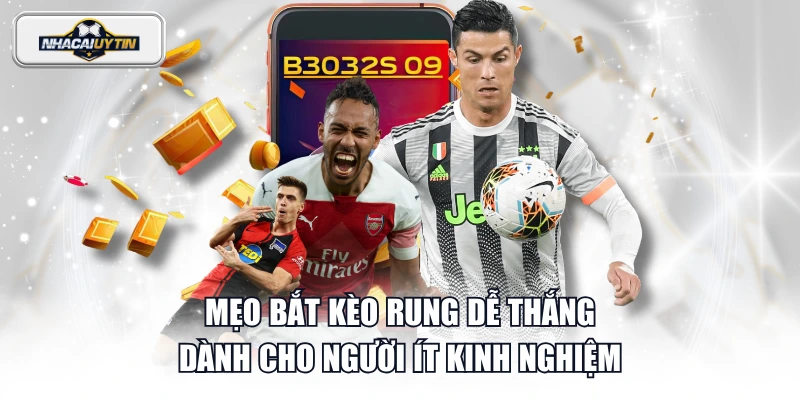 Mẹo bắt kèo rung dễ thắng dành cho người ít kinh nghiệm