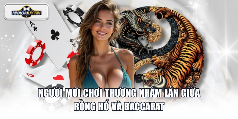 Người mới chơi thường nhầm lẫn giữa Rồng Hổ và Baccarat