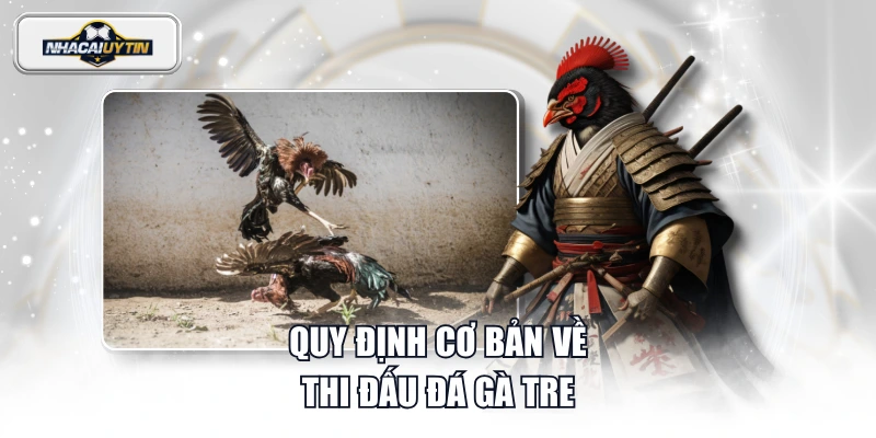 Quy định cơ bản về thi đấu đá gà tre
