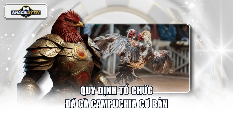 Quy định tổ chức đá gà Campuchia cơ bản
