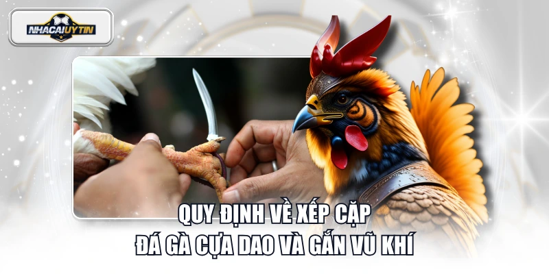 Quy định về xếp cặp đá gà cựa dao và gắn vũ khí