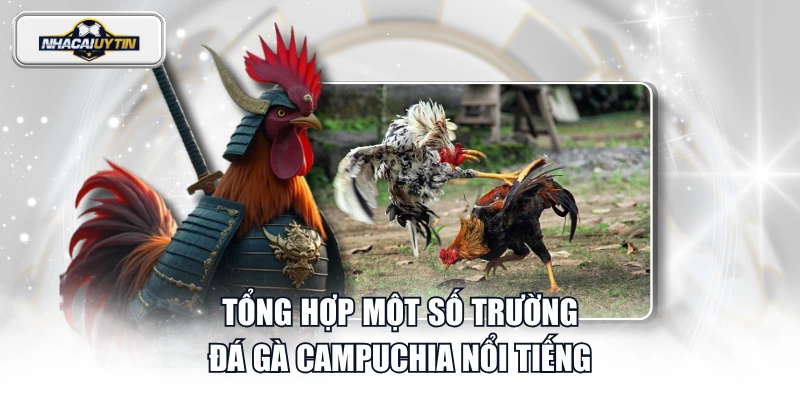 Tổng hợp một số trường đá gà Campuchia nổi tiếng