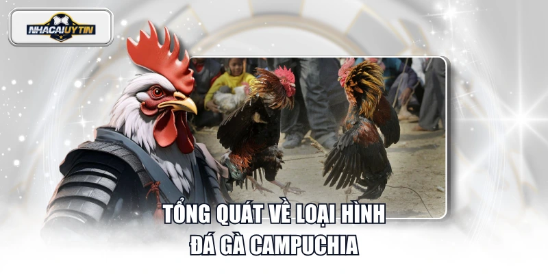 Tổng quát về loại hình đá gà Campuchia