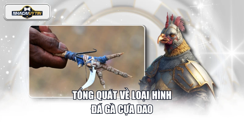 Tổng quát về loại hình đá gà cựa dao