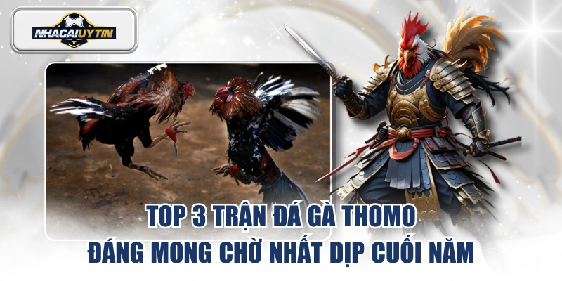 đá gà Thomo