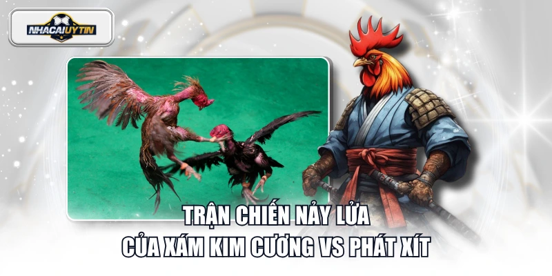 Trận chiến nảy lửa của Xám Kim Cương vs Phát Xít